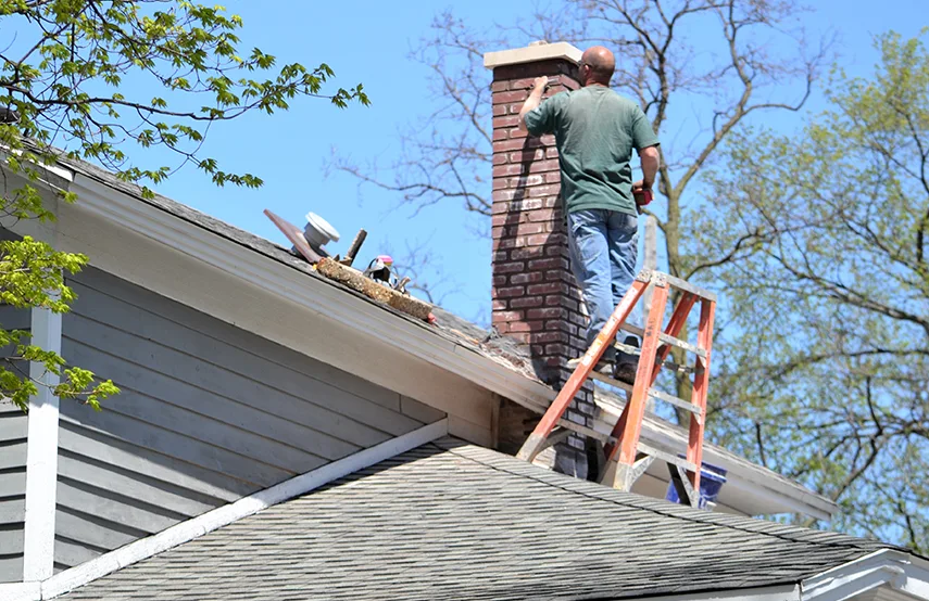 Chimney & Fireplace Inspections Services in Greenwood, SC